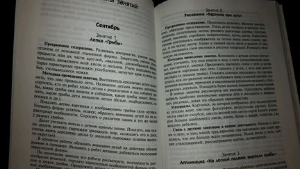 Занятия по изобразительной деятельности