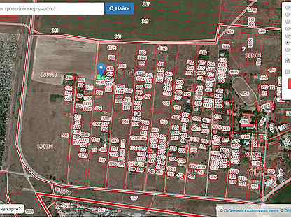 Кадастровая карта лесновка саки